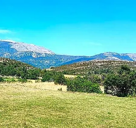 Bed & Breakfast Verdon 3*